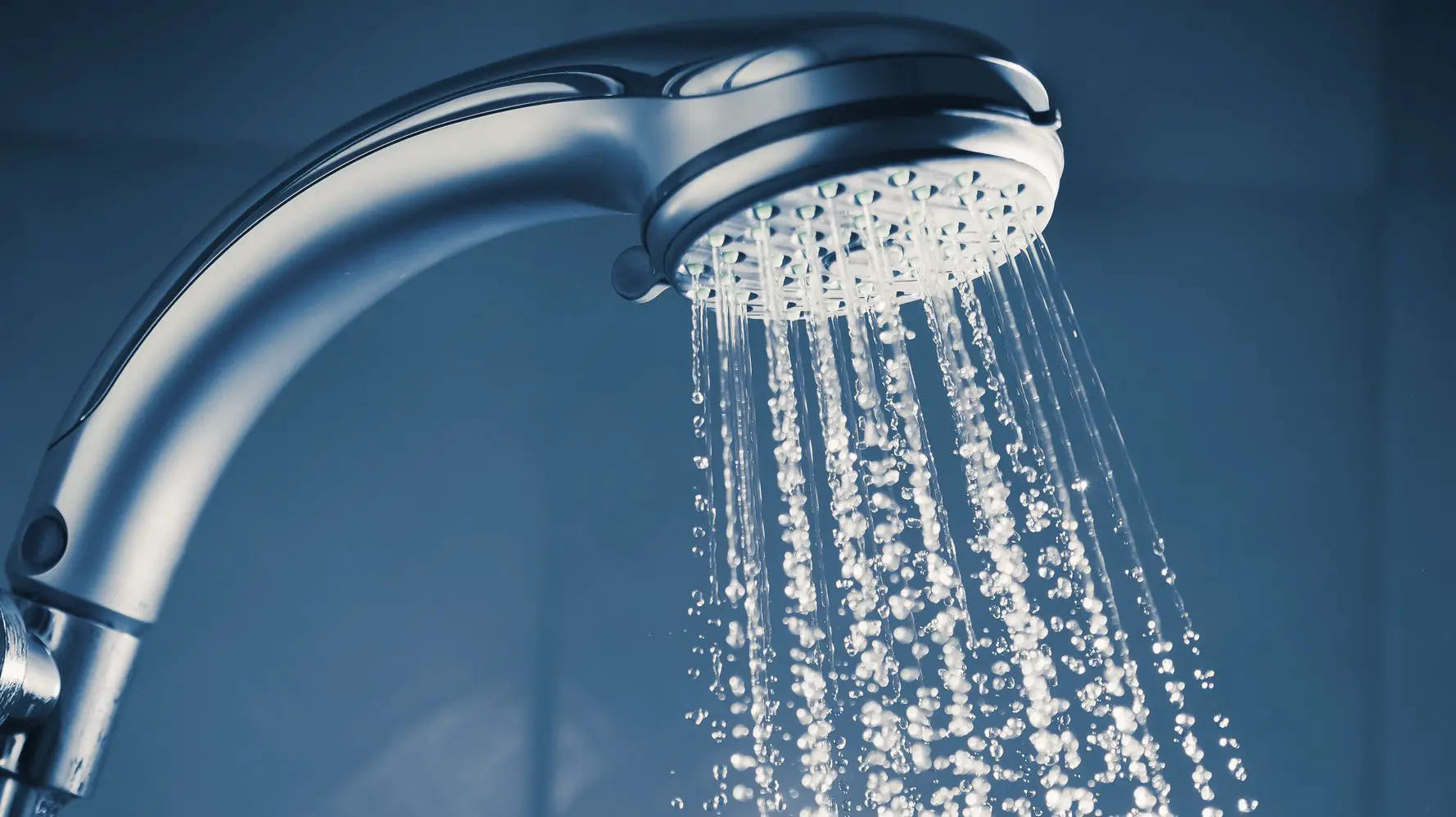 Facts About the Best Shower Water Filter